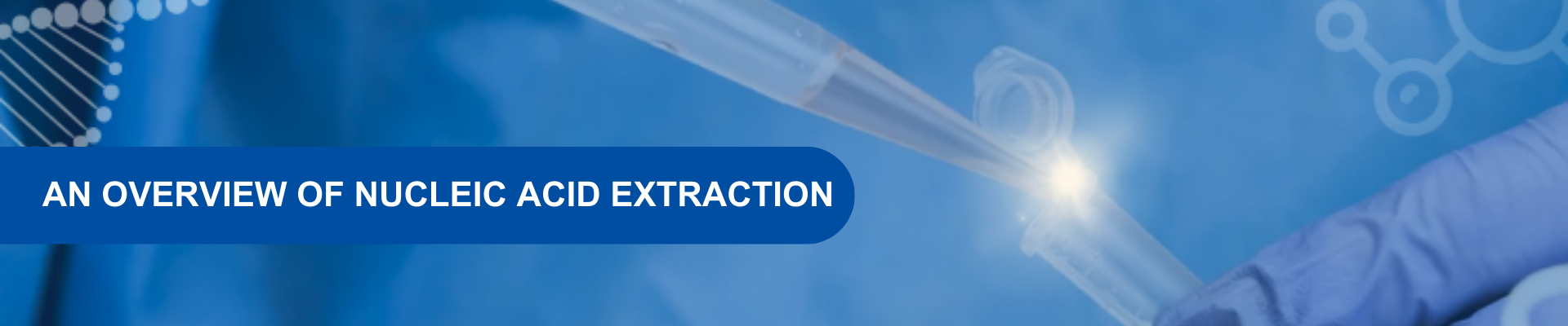 An Overview of Nucleic Acid Extraction in Microbes